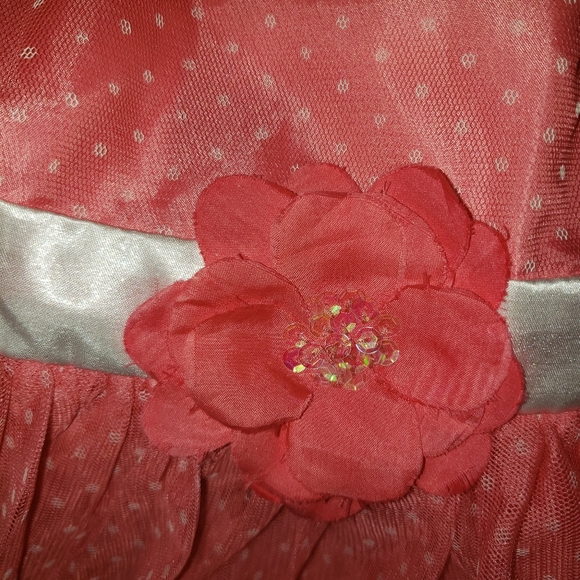 Girls Dress size 6x - Picture 3 of 4